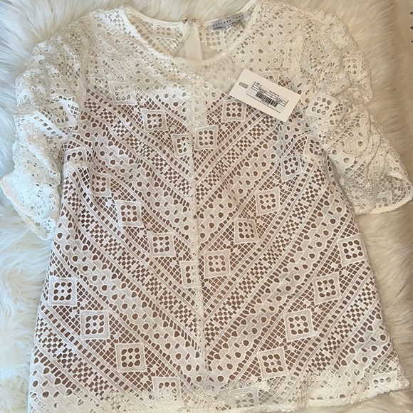 Endless Rose Embroidered Lace Top - Picture 1 of 10